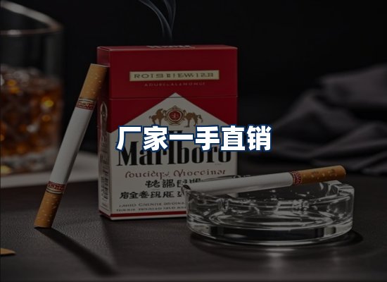 专业团队办公环境